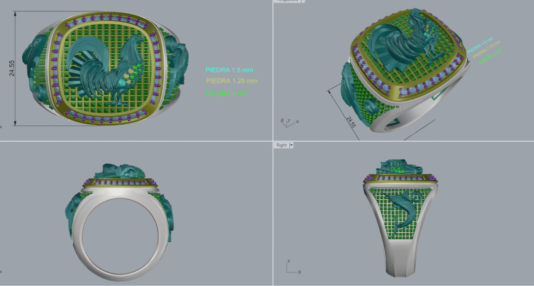 Anillo Gallo - Imagen 10