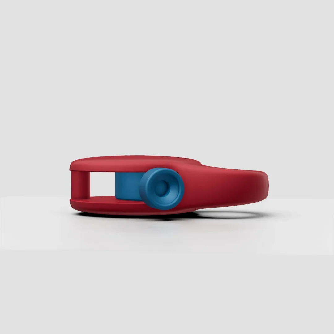 Broche militar - Imagen 2