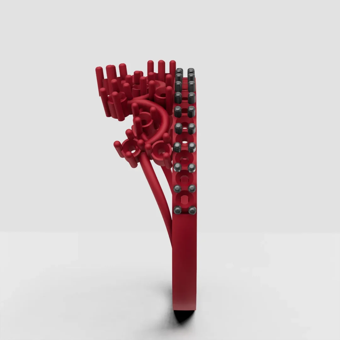 Anillo 15 - 03 - Imagen 3